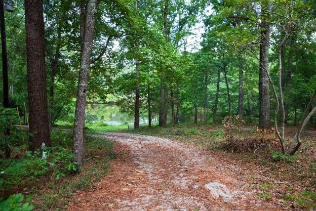 4825 McGahee Road Evans, GA 30809 - Photo 6 of 31 Gallery Image 6