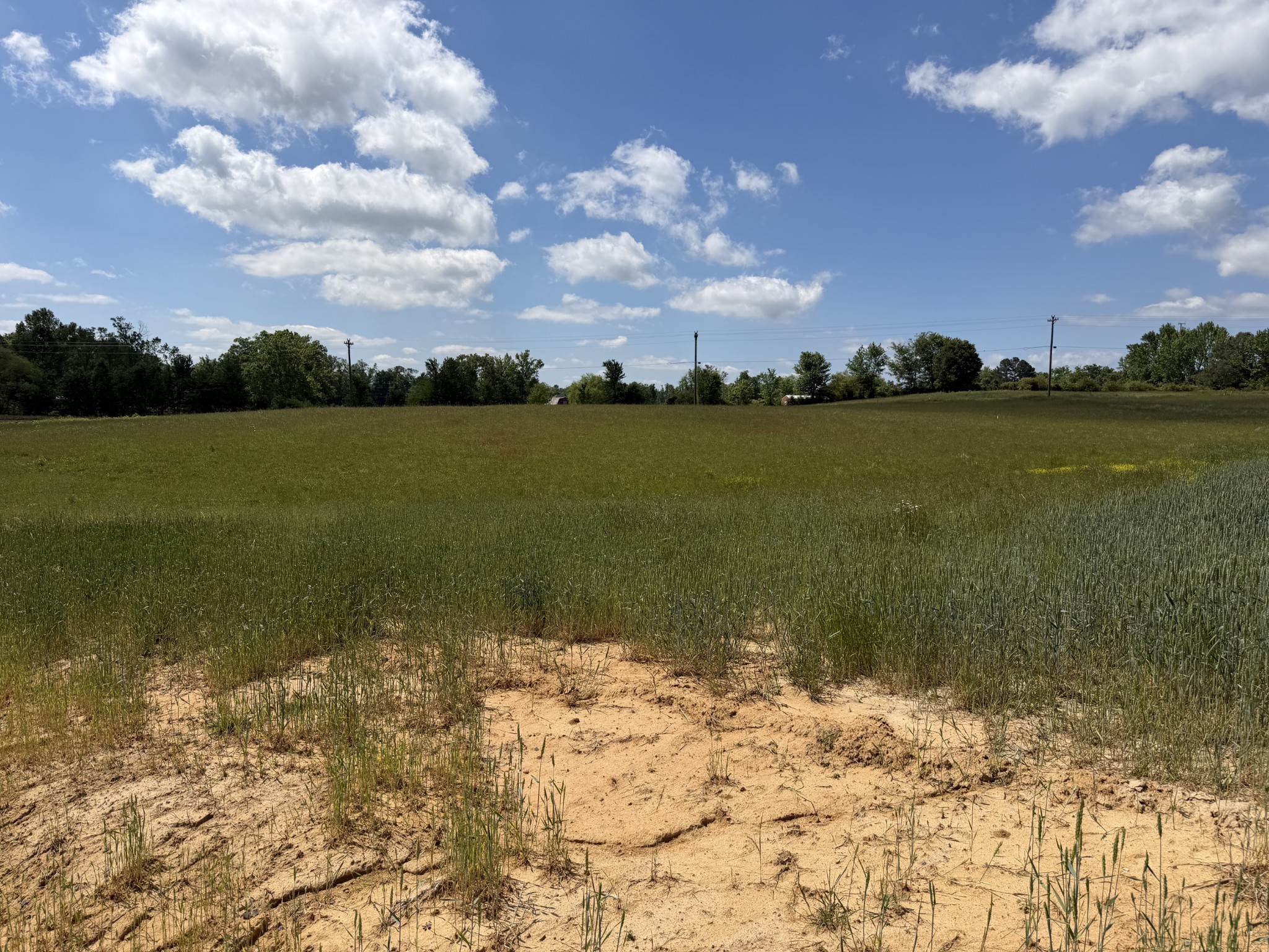 759 Regan Loop Baxter, TN 38544 - Photo 2 of 4 a view of a lake