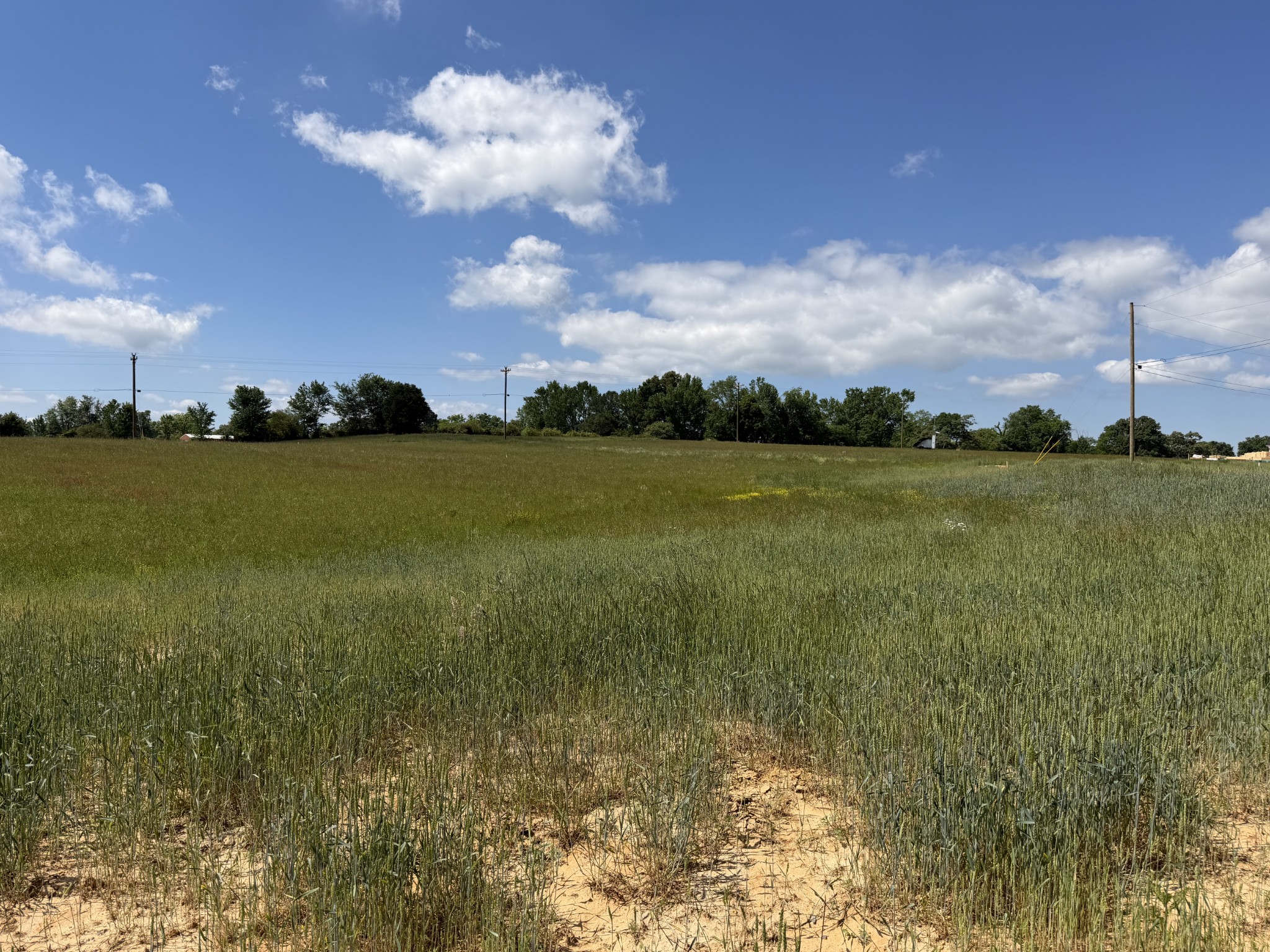 759 Regan Loop Baxter, TN 38544 - Photo 3 of 4 a view of an ocean from a yard