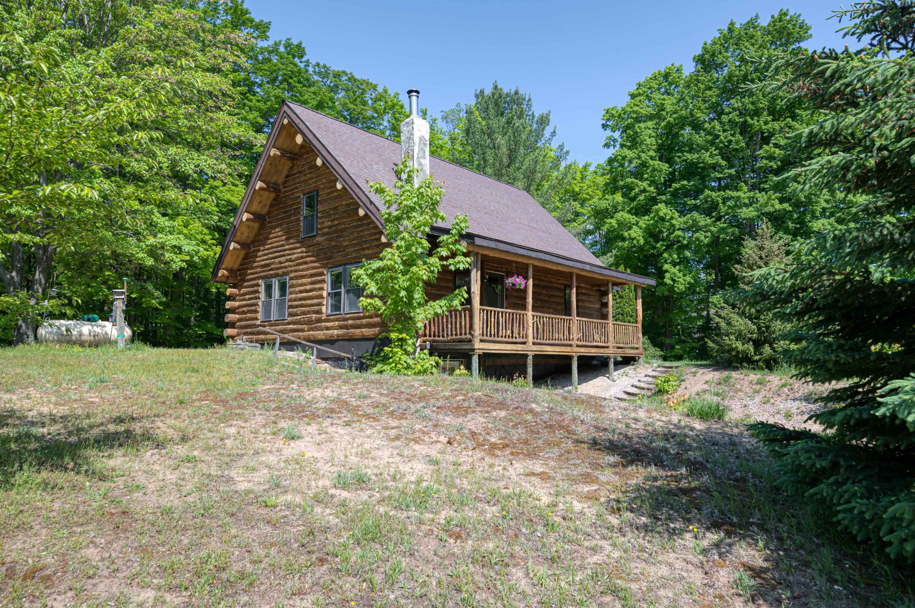 264 West Sharon Road Fife Lake, MI 49633 - Photo 6 of 66