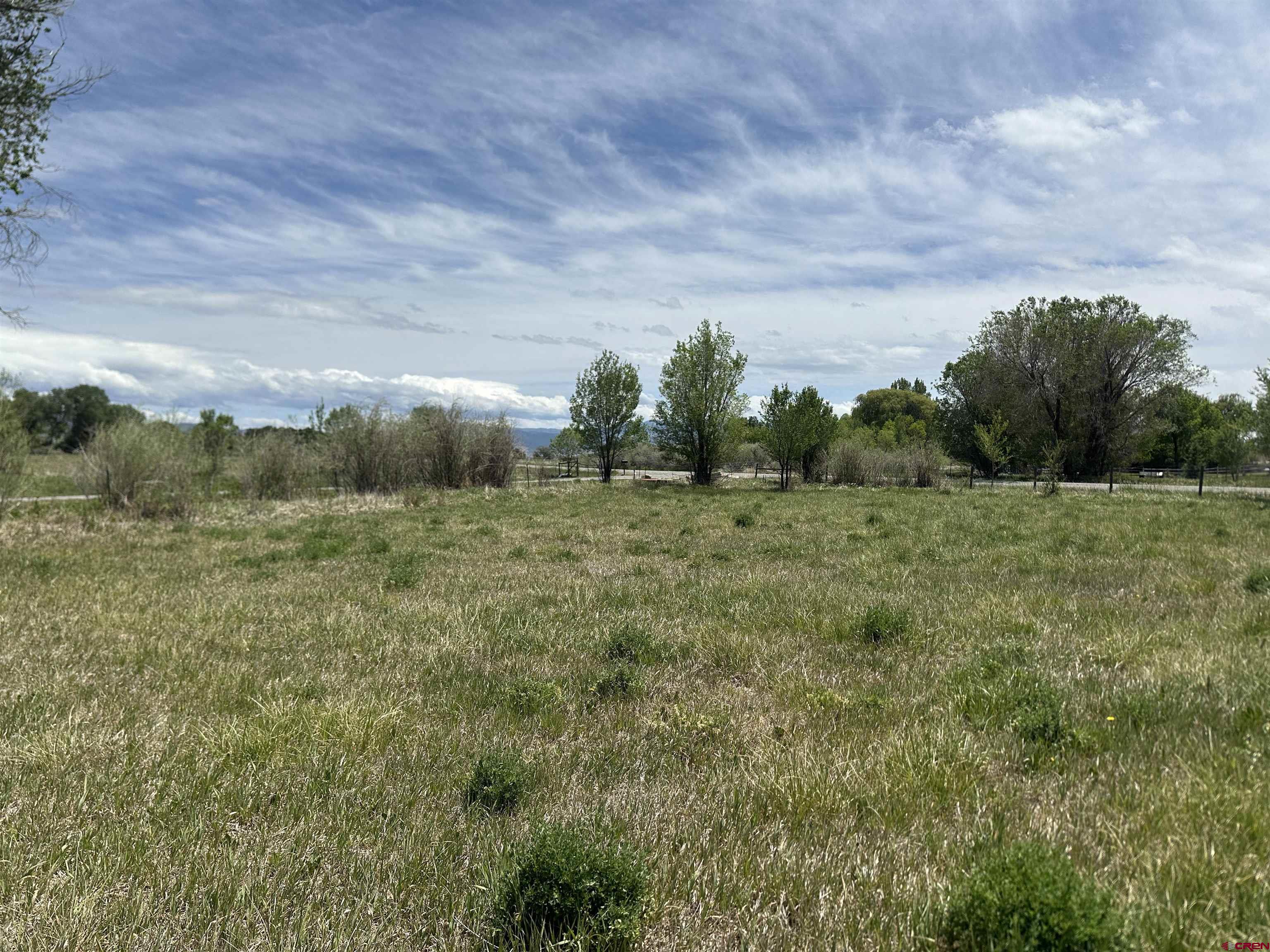 16674 6300 Road Montrose, CO 81403 - Photo 5 of 29