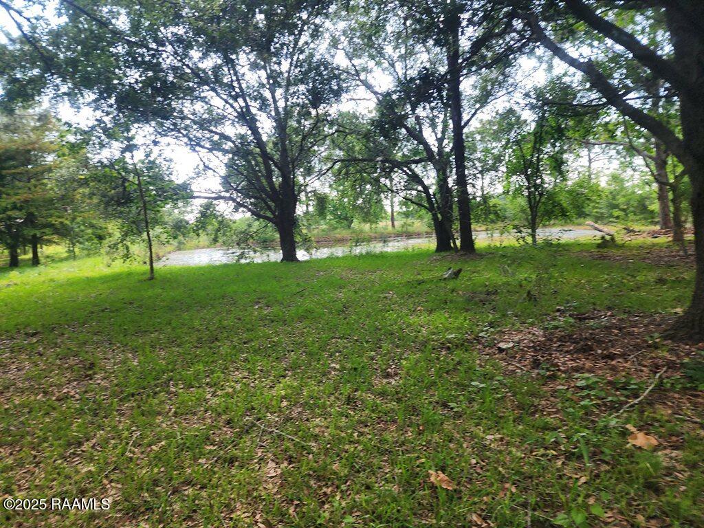 37208 Monceaux Road Gueydan, LA 70542 - Photo 31 of 35 20250605_162301