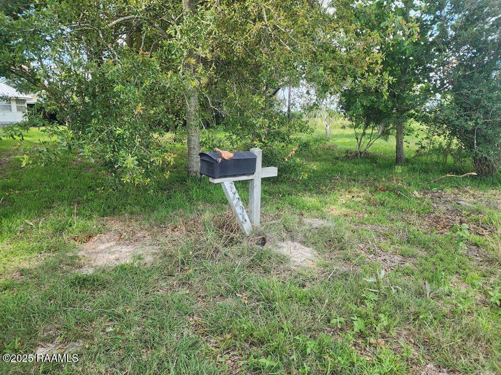 37208 Monceaux Road Gueydan, LA 70542 - Photo 32 of 35 20250605_162421