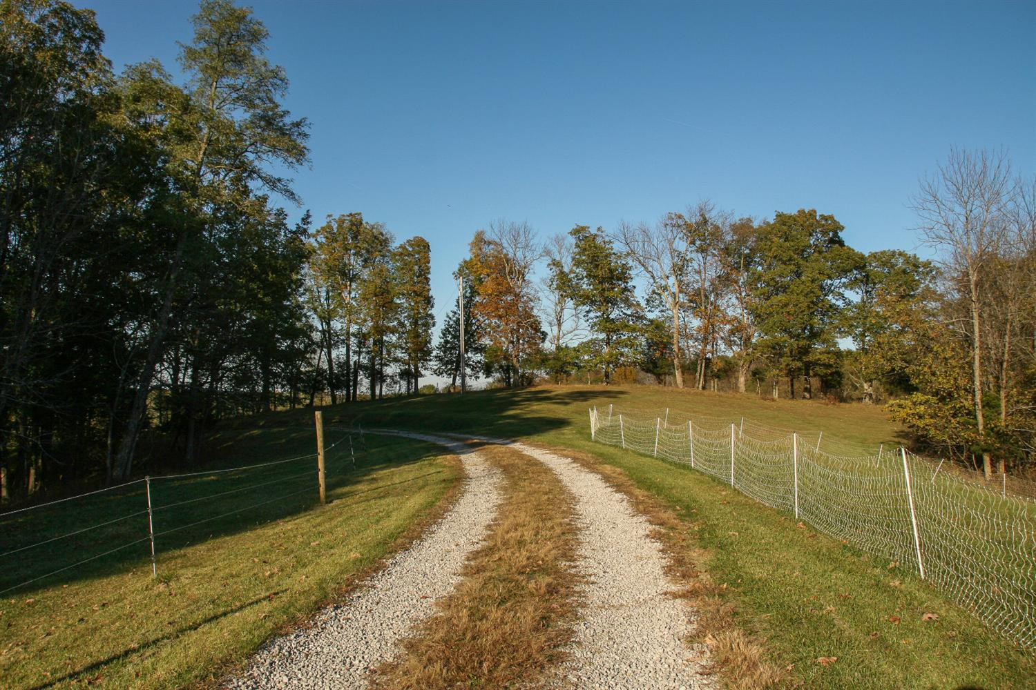 701 Northeast County Line Road Sadieville, KY 40370 - Photo 6 of 27 Photo 6