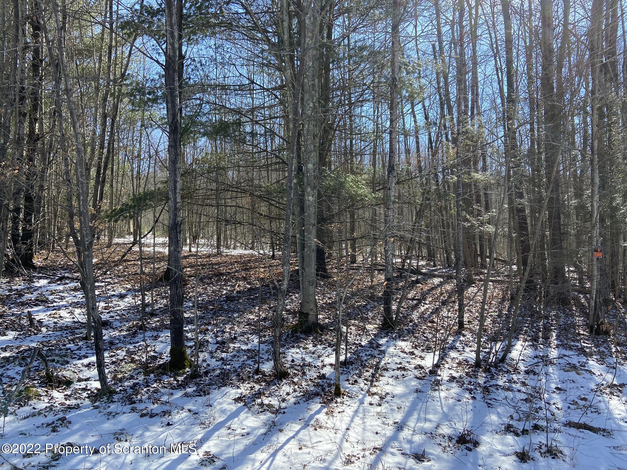 Ridge Road Montrose, PA 18801 - Photo 2 of 6 2C817F2D-0BDF-4BDC-B11C-74738C230F9F