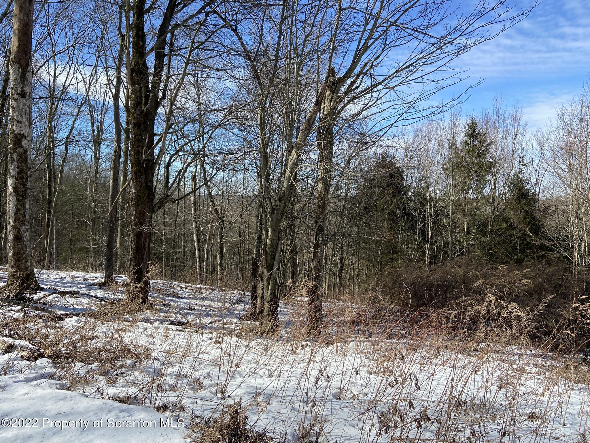 Ridge Road Montrose, PA 18801 - Photo 5 of 6 904B8186-2EF9-4741-9B0D-0ED214FF35A5