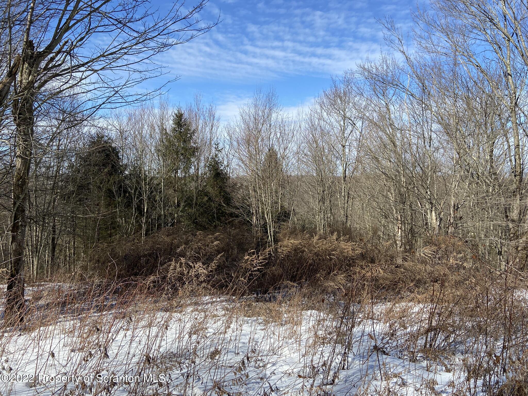 Ridge Road Montrose, PA 18801 - Photo 6 of 6 26A45725-4E50-45A5-A74F-7E01A761C0B1