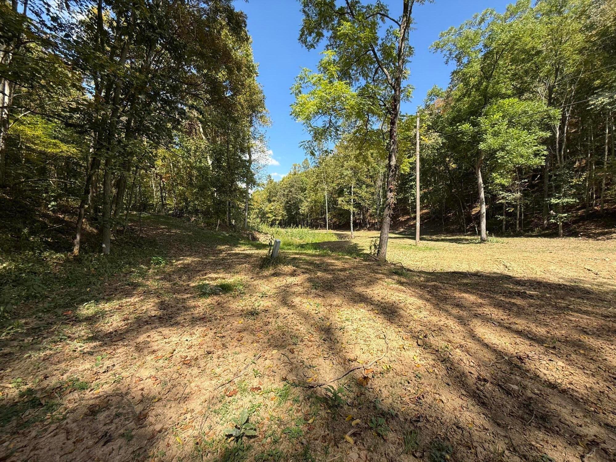 4329 Cooks Run Road Lindside, WV 24951 - Photo 22 of 71 Gallery Image 22