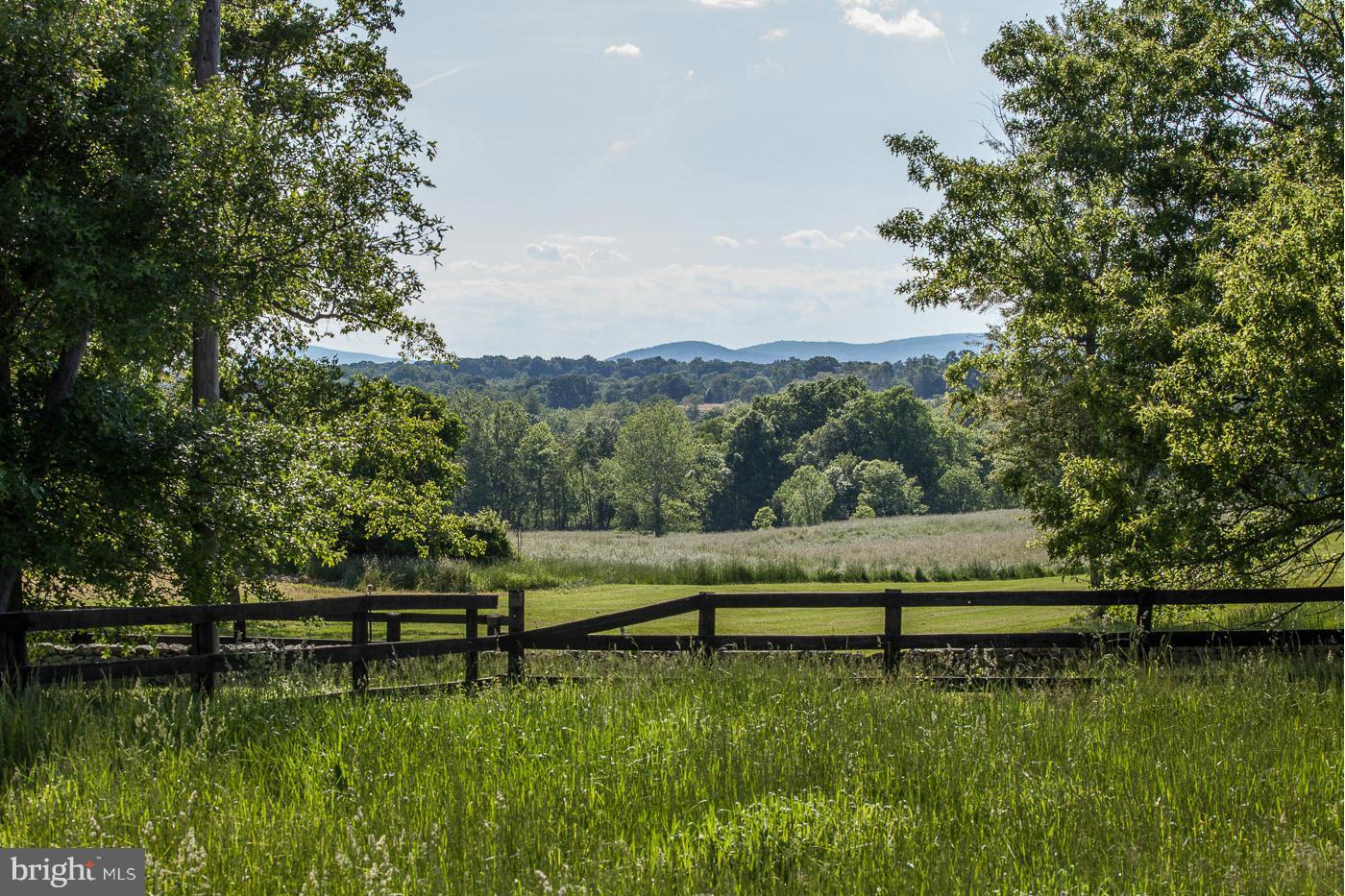 a view of a garden with a lake view