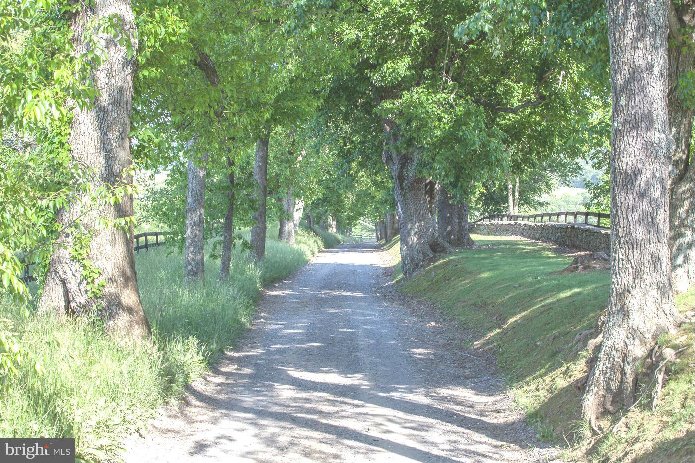 7316 Old Carters Mill Road The Plains, VA 20198 - Photo 2 of 9 a view of outdoor space and yard