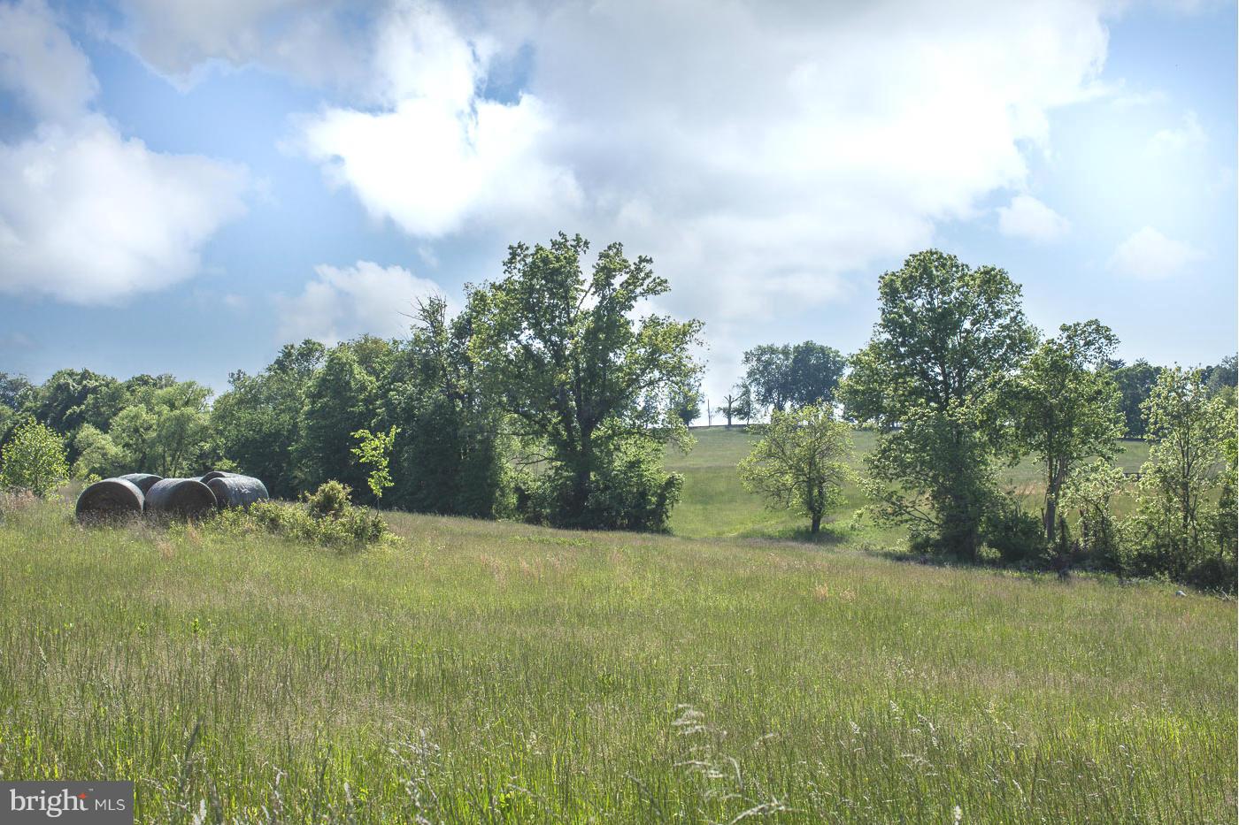 7316 Old Carters Mill Road The Plains, VA 20198 - Photo 4 of 9 a view of a street with a yard and a fountain