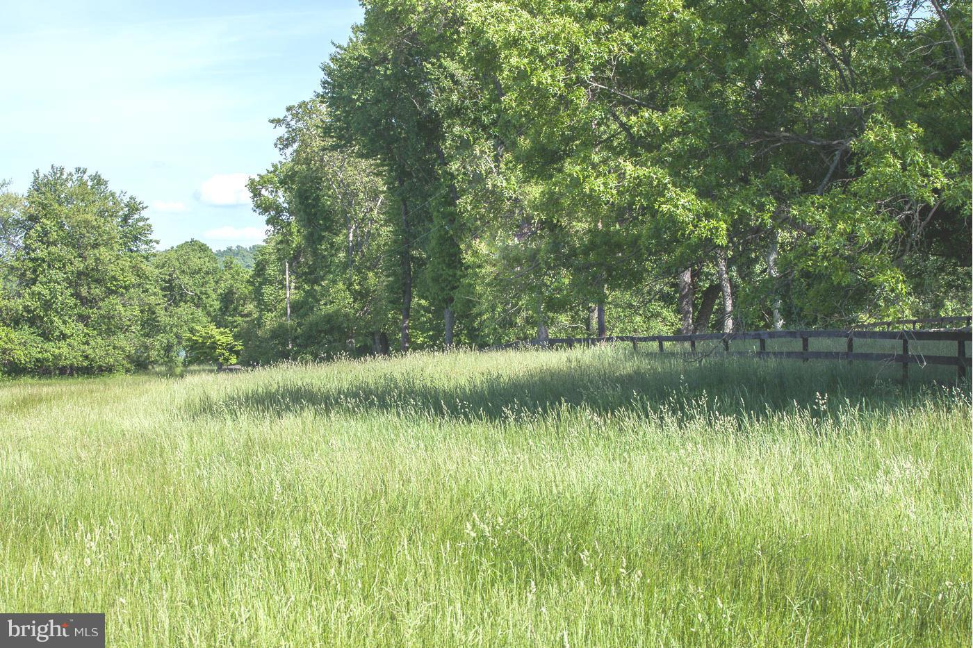 7316 Old Carters Mill Road The Plains, VA 20198 - Photo 5 of 9 a view of lake
