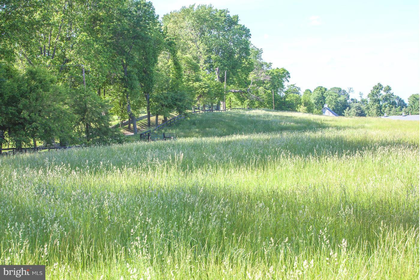 7316 Old Carters Mill Road The Plains, VA 20198 - Photo 6 of 9 a view of lake