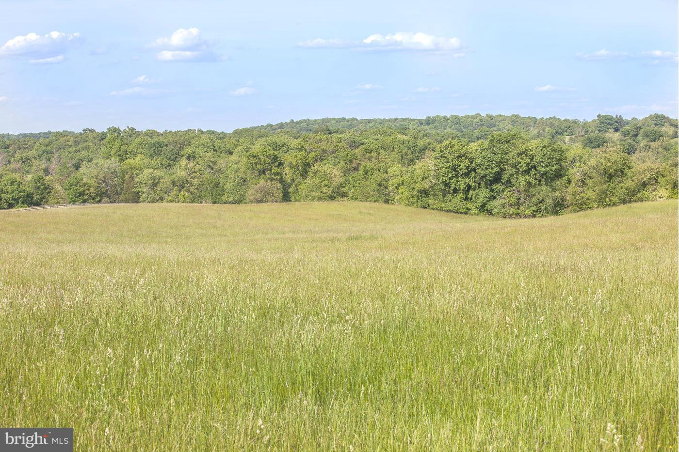 7316 Old Carters Mill Road The Plains, VA 20198 - Photo 7 of 9 a view of an ocean