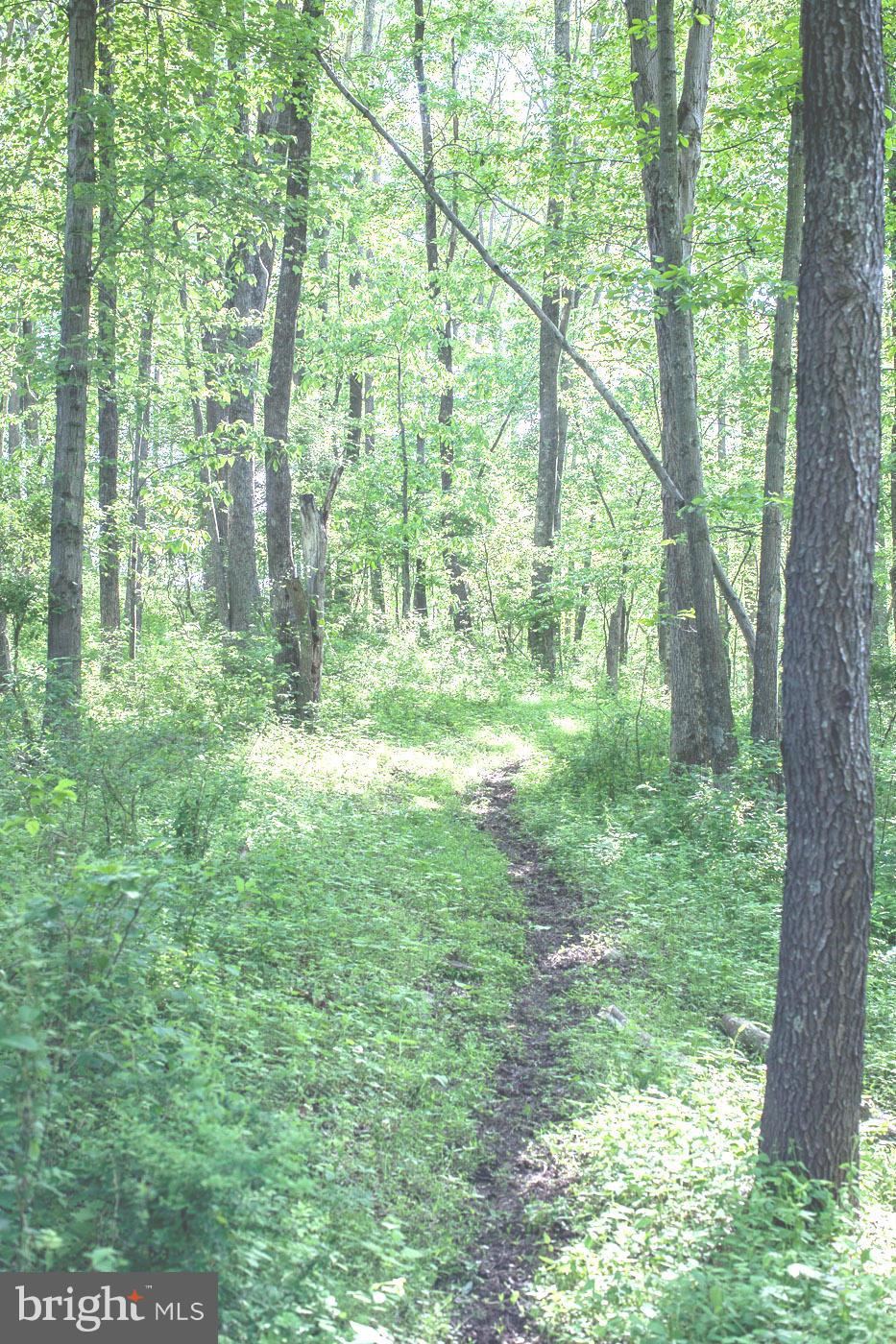 7316 Old Carters Mill Road The Plains, VA 20198 - Photo 9 of 9 a view of outdoor space and yard