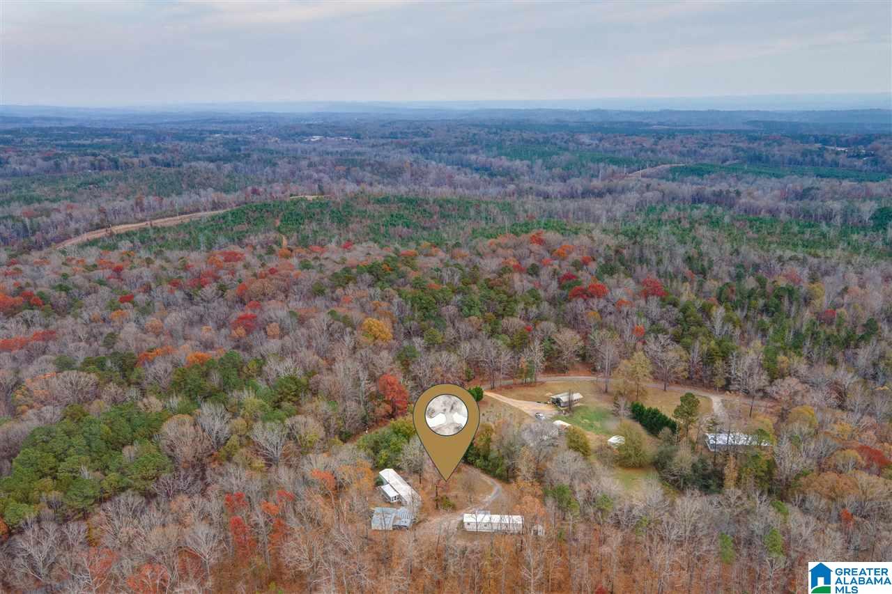 1169 Raywood Road Woodstock, AL 35188 - Photo 46 of 50