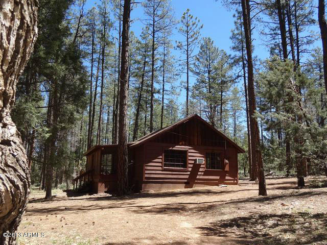 437 South Pumphouse Road Payson, AZ 85541 - Photo 8 of 25 DSC02824