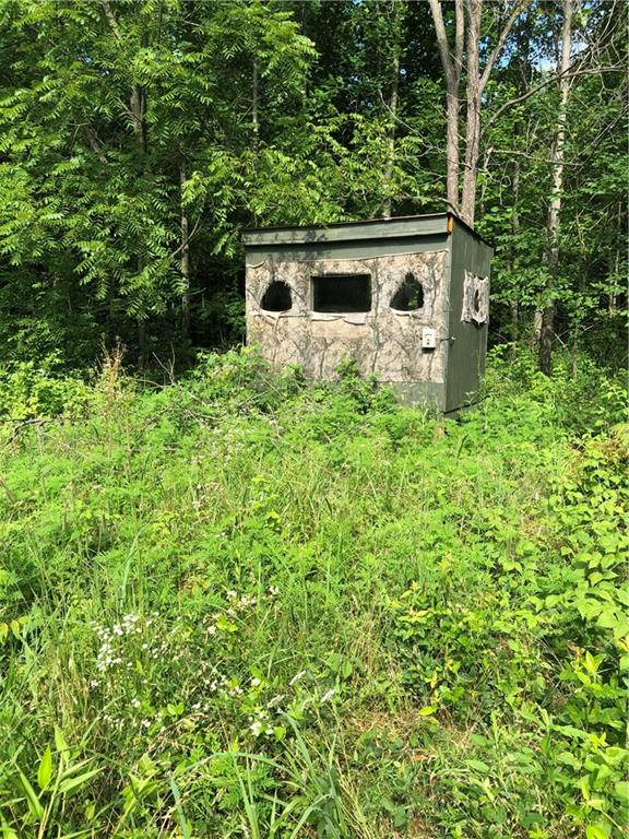 0 Shingle Mill Road Bloomfield, IN 47424 - Photo 7 of 10