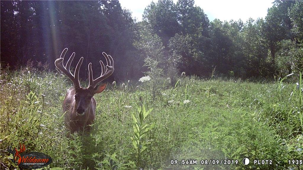 0 Shingle Mill Road Bloomfield, IN 47424 - Photo 9 of 10