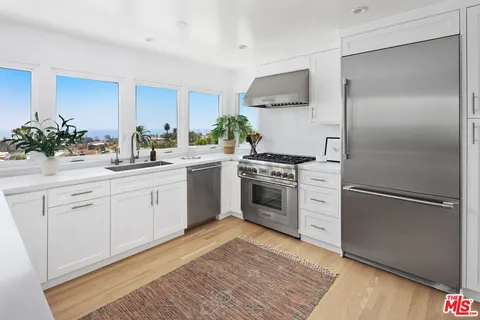 a kitchen with a sink cabinets stainless steel appliances and a potted plant