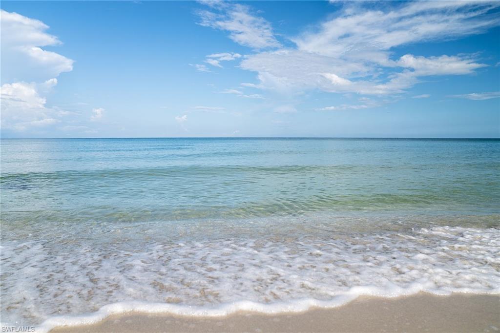 282 4th Street South, Unit 204 Naples, FL 34102 - Photo 16 of 16 a view of a dry yard