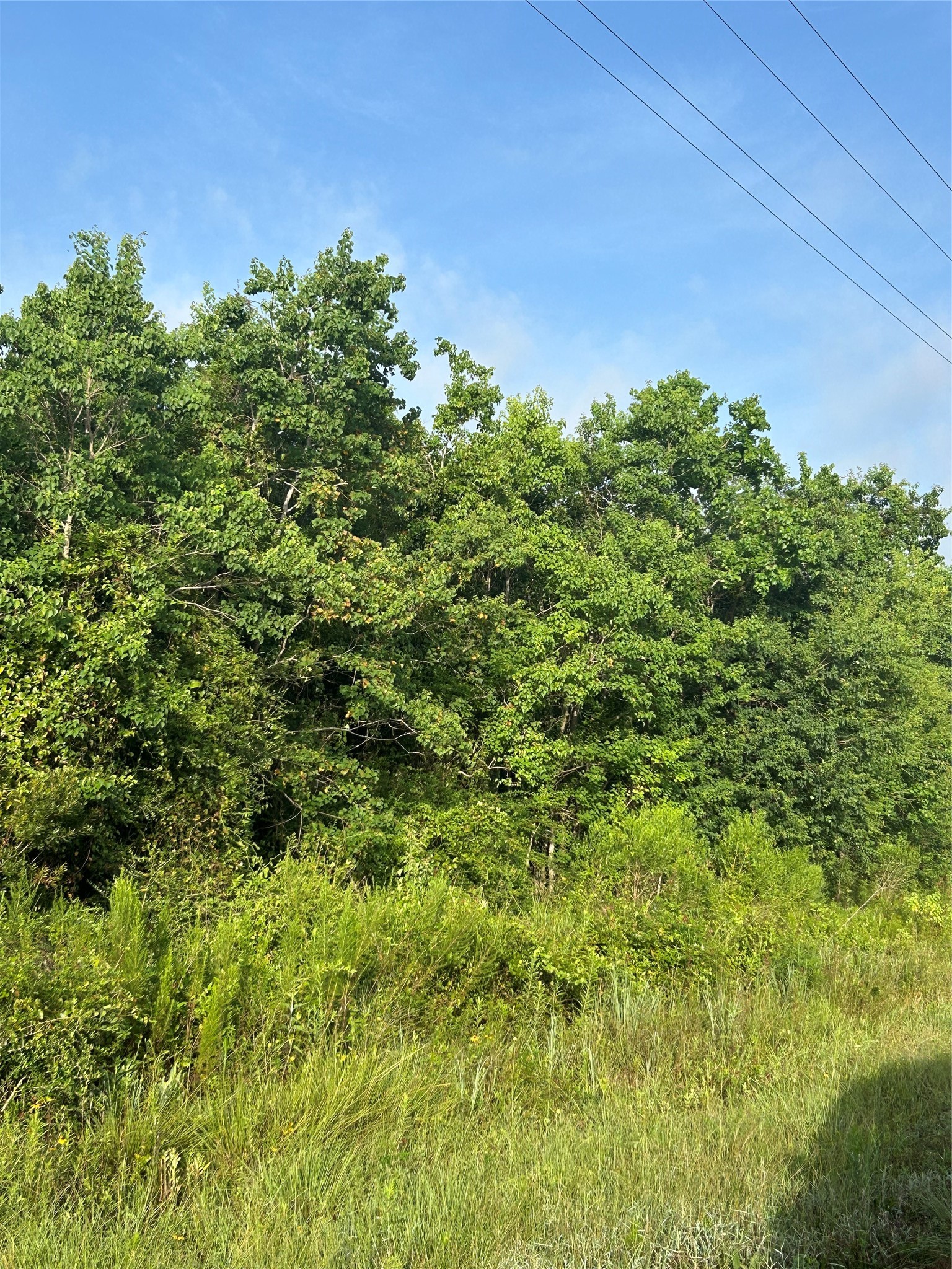 Lot 13 Pine Ridge Prairie View Prairie View, TX 77445 - Photo 1 of 6