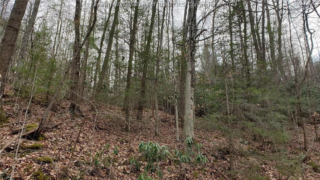 0 Surveyor Creek Road Lester, WV 25865 - Photo 4 of 22 Gallery Image 4