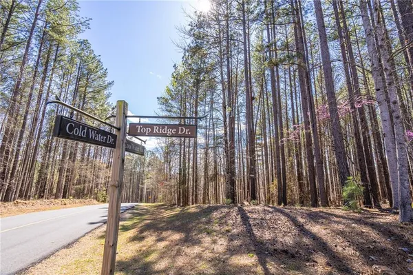 $60,000 | 703 Top Ridge Drive, Sunset, SC 29685