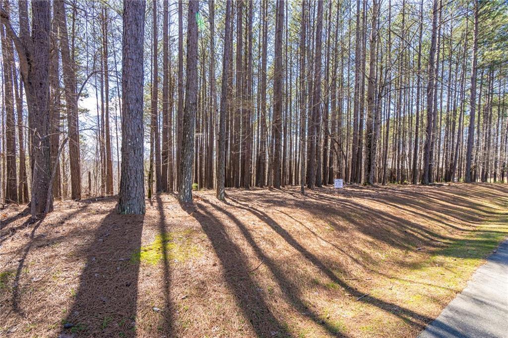 703 Top Ridge Drive Sunset, SC 29685 - Photo 2 of 4