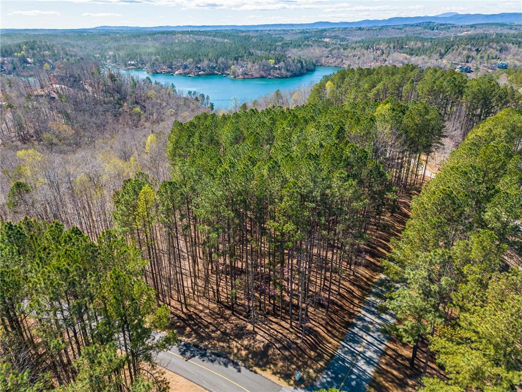 703 Top Ridge Drive Sunset, SC 29685 - Photo 3 of 4