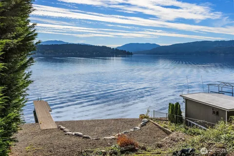 a view of a backyard with plants and outdoor seating