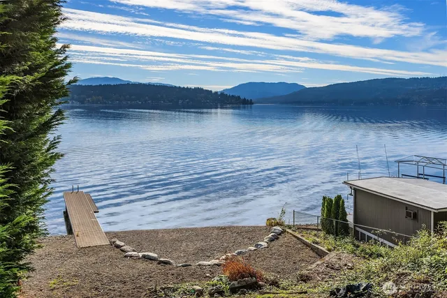 a view of a backyard with plants and outdoor seating