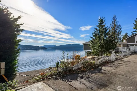 a view of backyard of the house