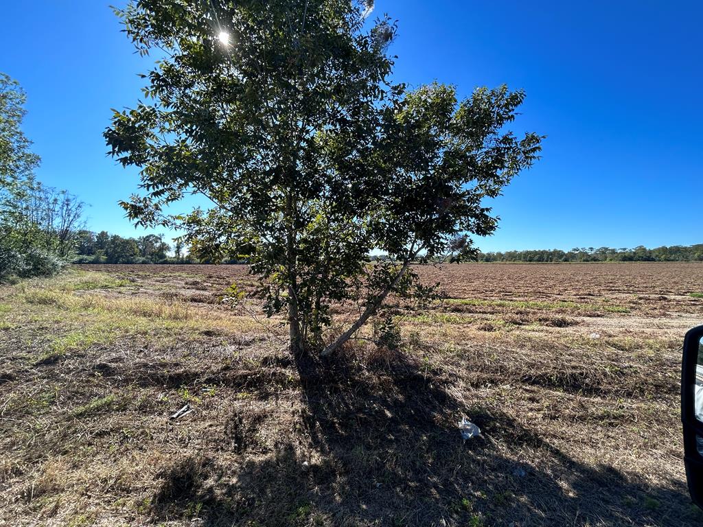 5.107-ac 5.107-ac Road Cottonwood, AL 36320 - Photo 1 of 19