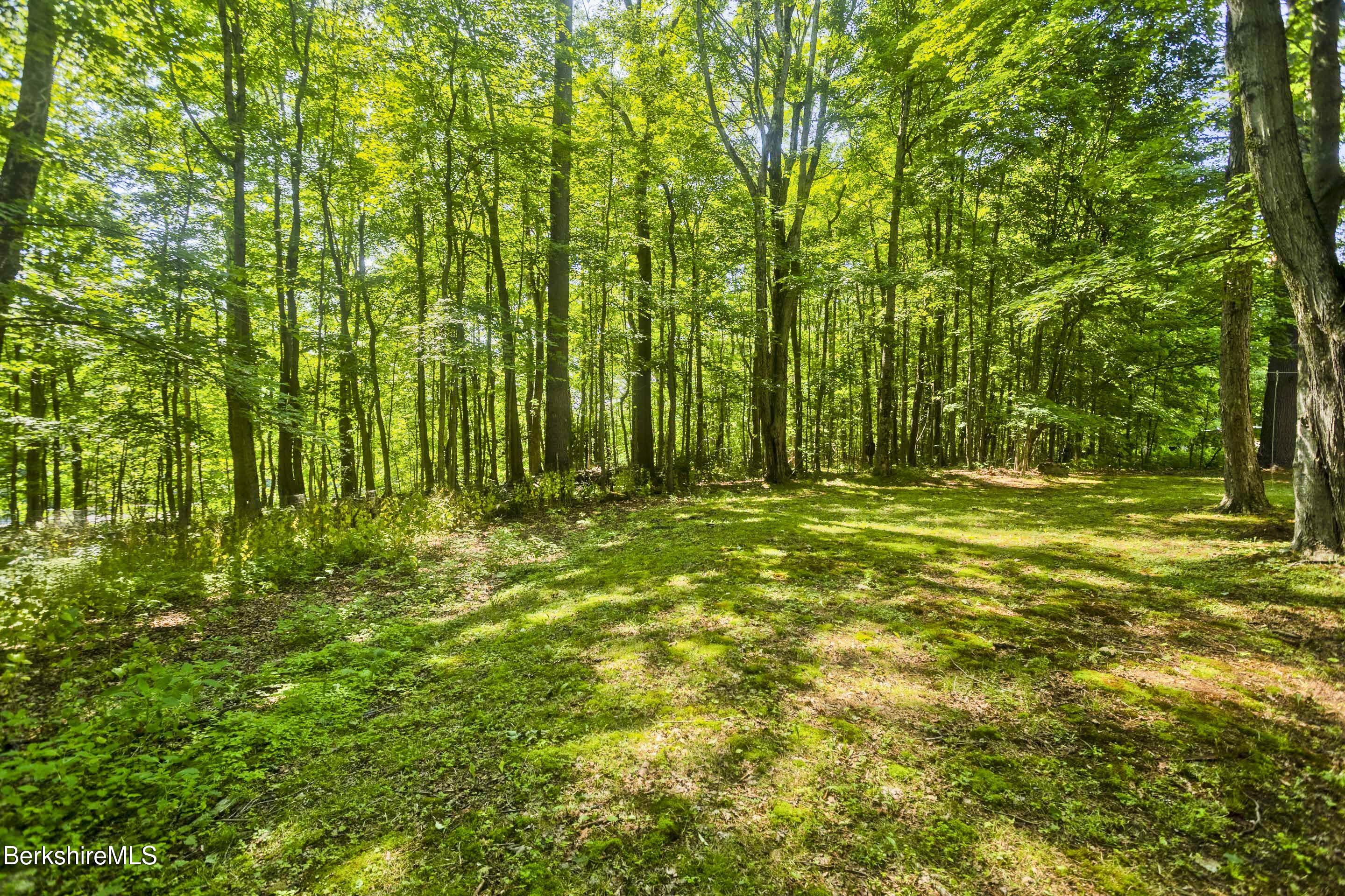 2305 Jacobs Ladder Road Becket, MA 01223 - Photo 22 of 25 Backyard