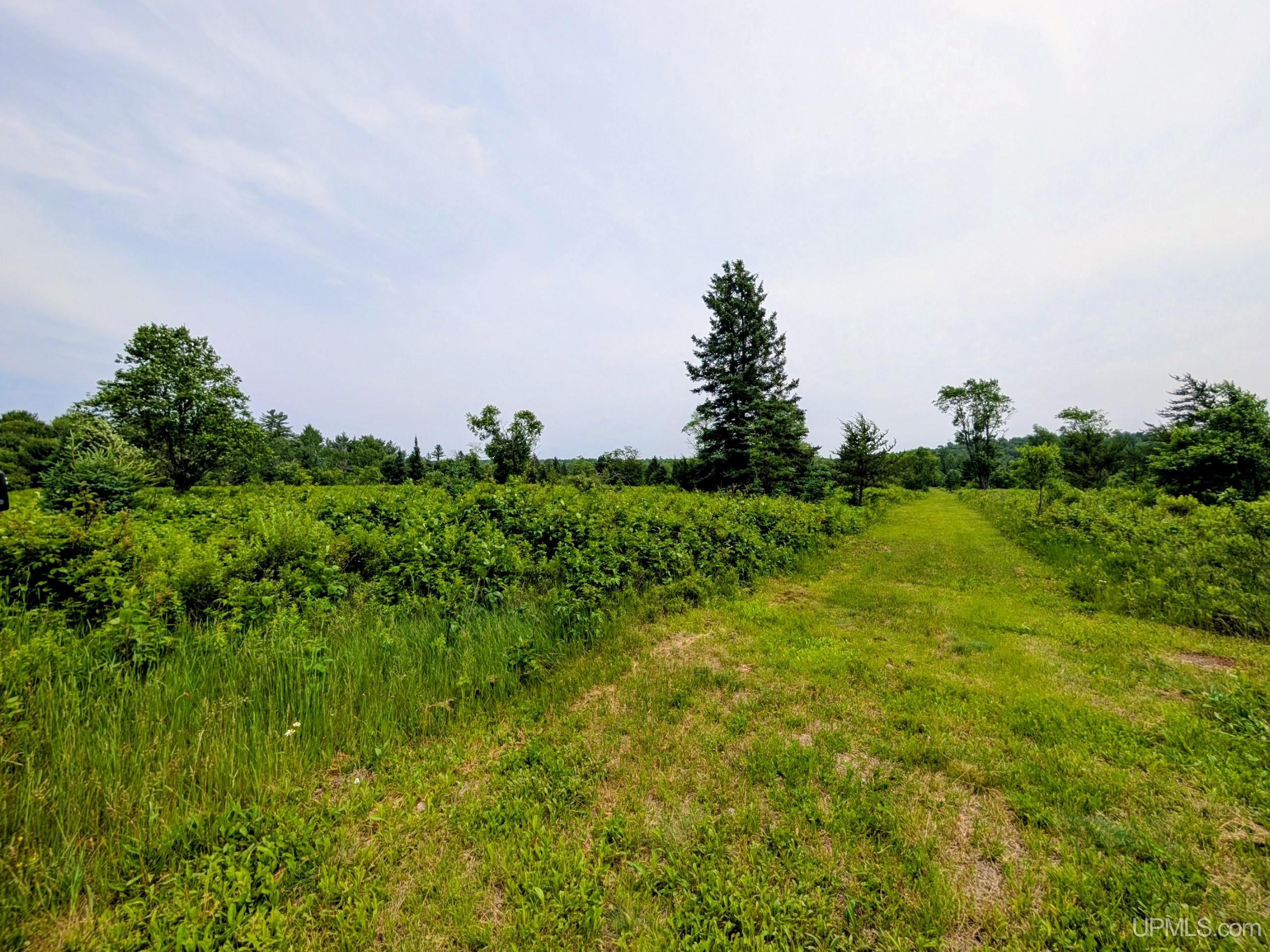 Tbd Pond Road Iron River, MI 49935 - Photo 12 of 26