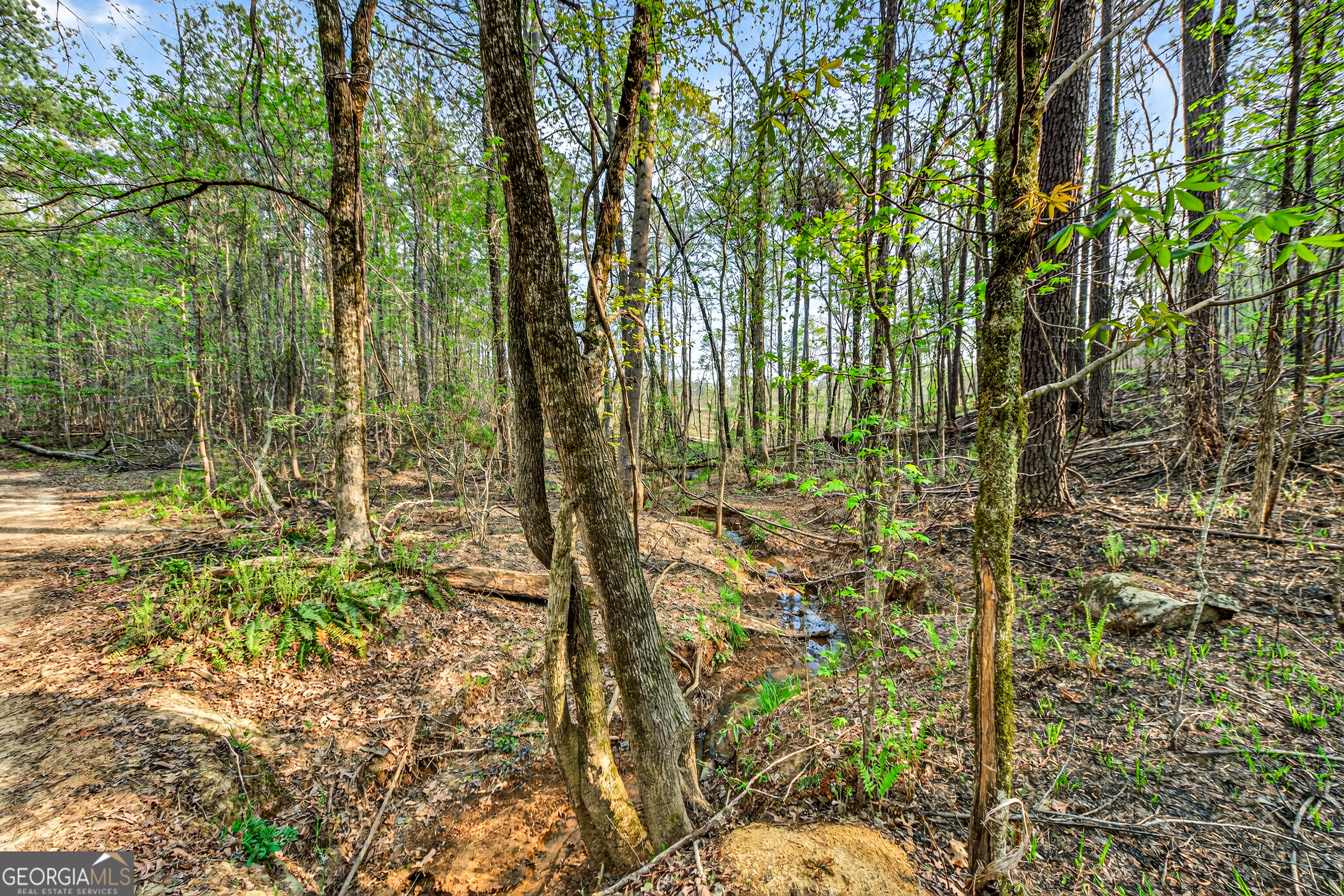 669 Pecan Grove Road Washington, GA 30673 - Photo 38 of 56 Gallery Image 38