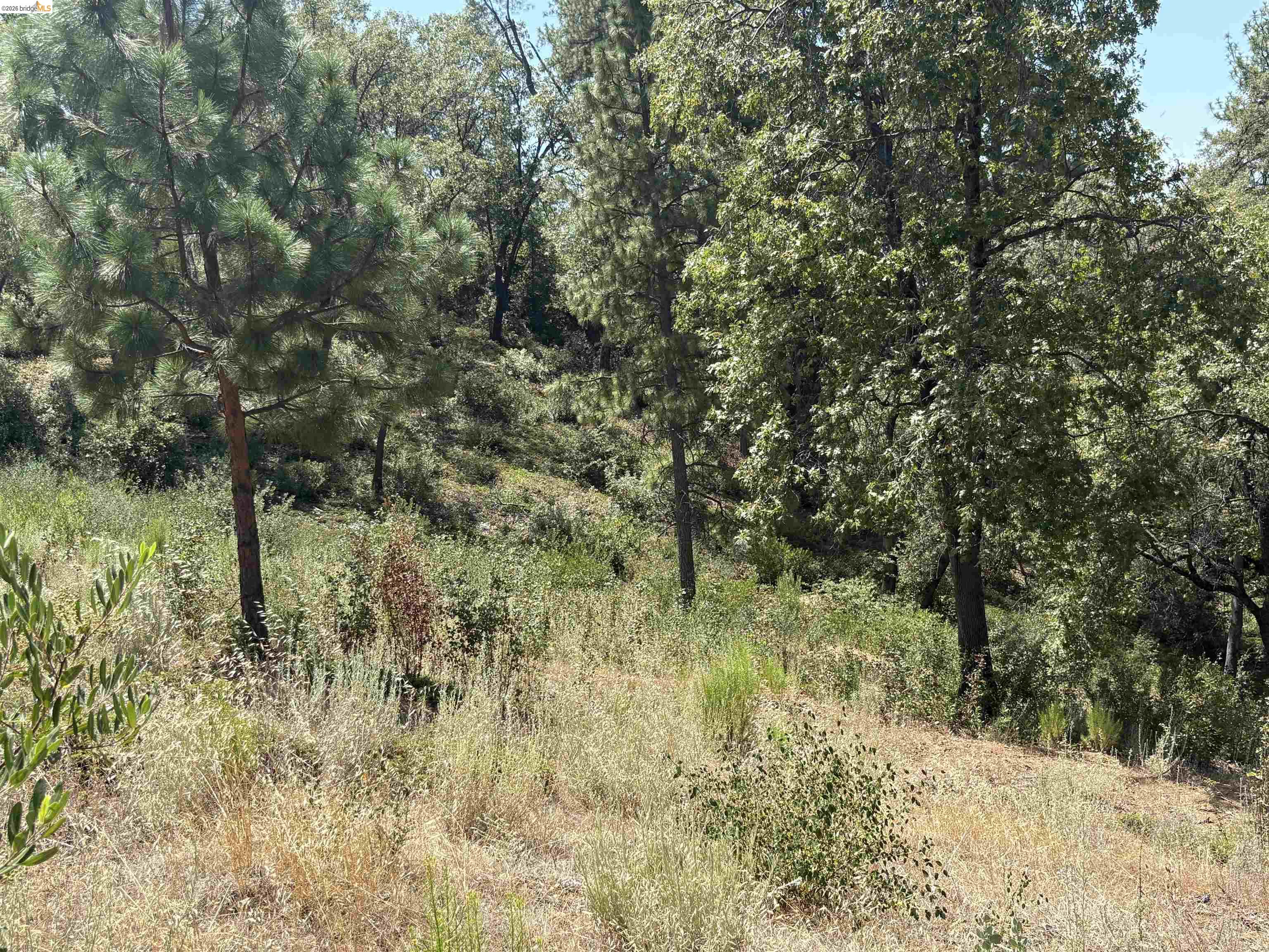 1440 Utica Powerhouse Road Murphys, CA 95247 - Photo 37 of 58 Gallery Image 37