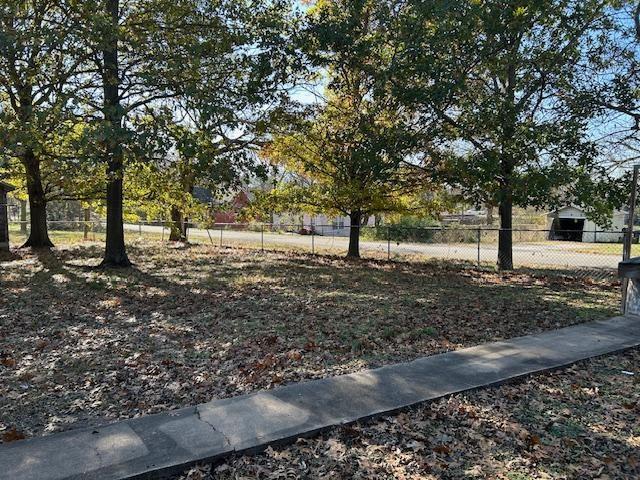 415 West Walnut Street Whitewright, TX 75491 - Photo 35 of 36 a view of a yard with a tree