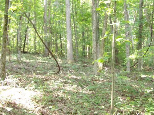 0 Stone Rdg Road, Unit 62 Pikeville, TN 37367 - Photo 1 of 7 lot 62