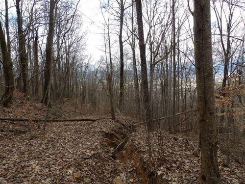 0 Stone Rdg Road, Unit 62 Pikeville, TN 37367 - Photo 2 of 7 level-spots-for-homestead-hunting-pikevi