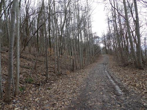 0 Stone Rdg Road, Unit 62 Pikeville, TN 37367 - Photo 3 of 7 level-spots-for-homestead-hunting-pikevi