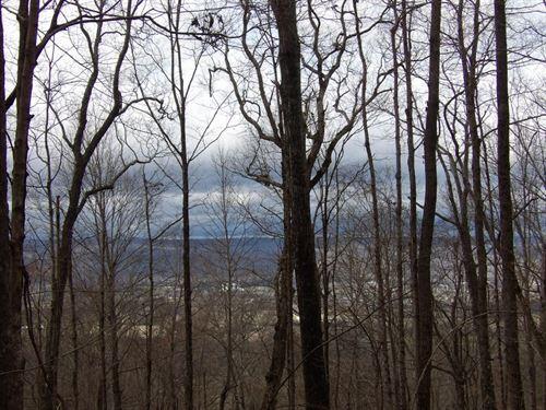 0 Stone Rdg Road, Unit 62 Pikeville, TN 37367 - Photo 4 of 7 level-spots-for-homestead-hunting-pikevi