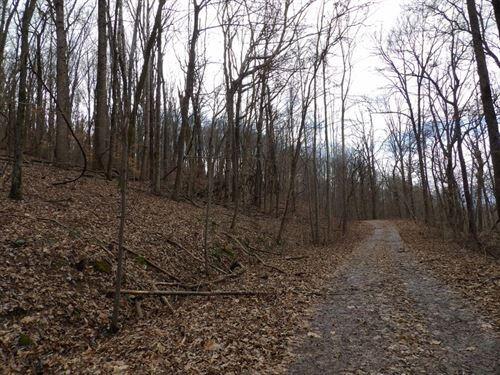 0 Stone Rdg Road, Unit 62 Pikeville, TN 37367 - Photo 5 of 7 level-spots-for-homestead-hunting-pikevi
