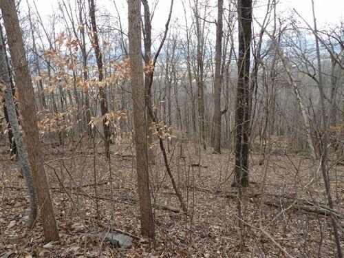 0 Stone Rdg Road, Unit 62 Pikeville, TN 37367 - Photo 6 of 7 level-spots-for-homestead-hunting-pikevi