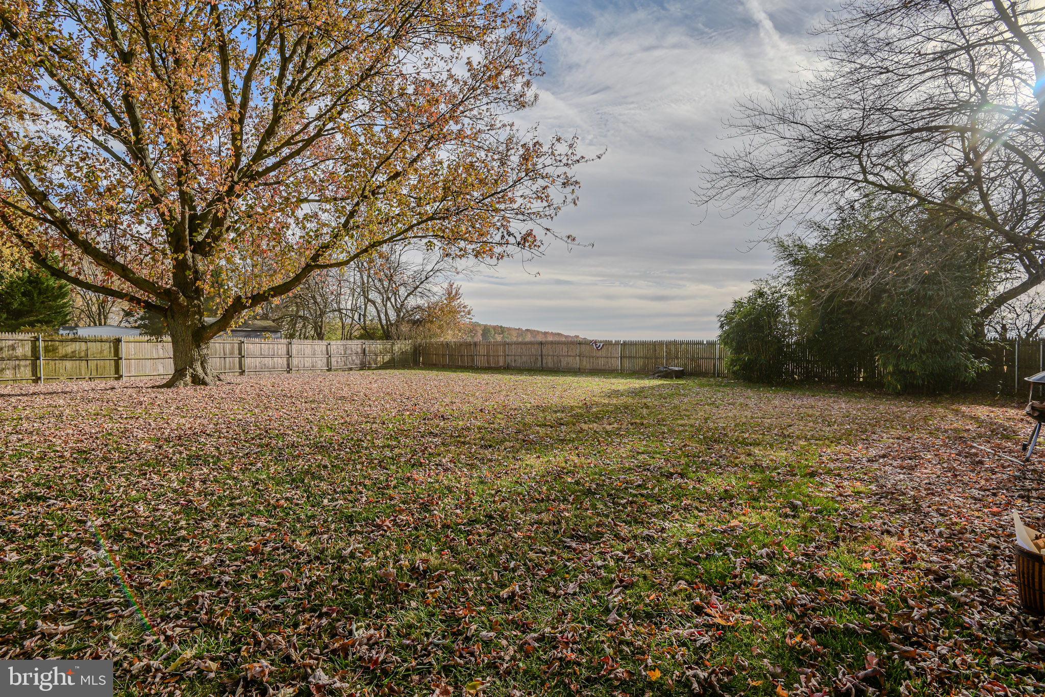 388 Crystal Beach Road Earleville, MD 21919 - Photo 8 of 36 Gallery Image 8