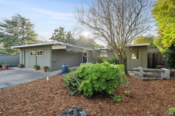 a front view of a house with garden and plants