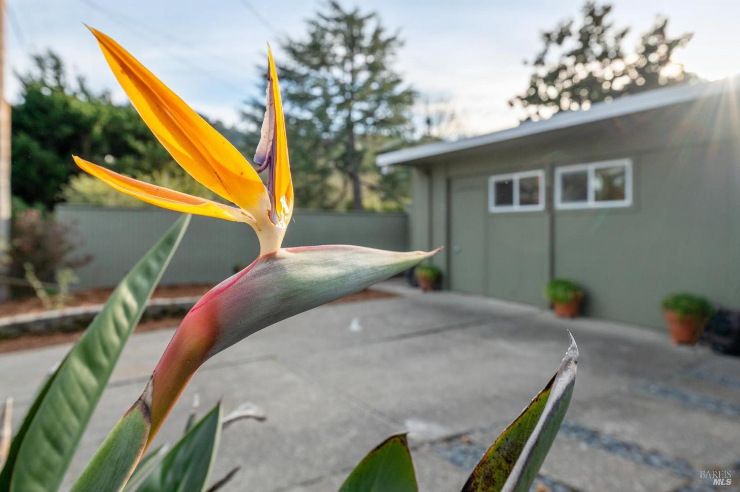 892 Greenberry Lane San Rafael, CA 94903 - Photo 34 of 36