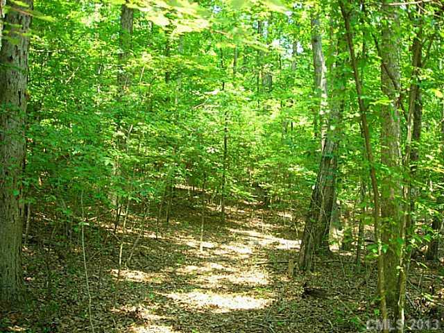Lot 16 Bessbrook Road, Unit 16 Fort Mill, SC 29708 - Photo 5 of 6