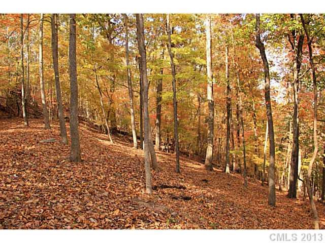Lot 16 Bessbrook Road, Unit 16 Fort Mill, SC 29708 - Photo 6 of 6